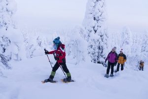 Ciaspolata con bambini in Lapponia