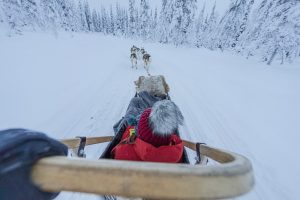 Giro sulla slitta trainata dagli husky