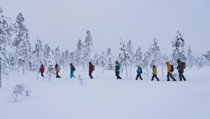 Passeggiata sulla collina di Teerivaara