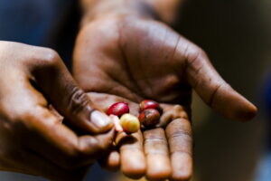 Spice Farm Zanzibar