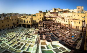 Le concerie di Fes, Marocco